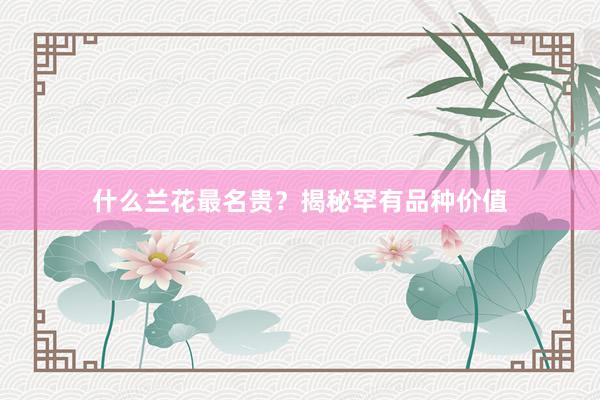 什么兰花最名贵？揭秘罕有品种价值